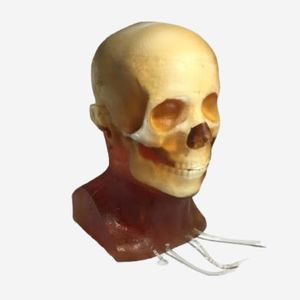 phantom di calibrazione per radiografia