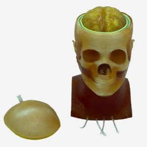 phantom di calibrazione per radiografia