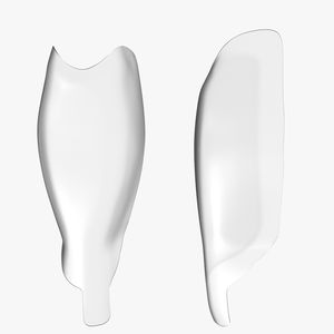matrice dentale 1