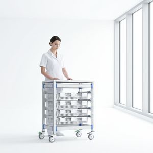 carrello di stoccaggio 1