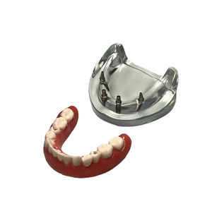 modello anatomico di dentatura