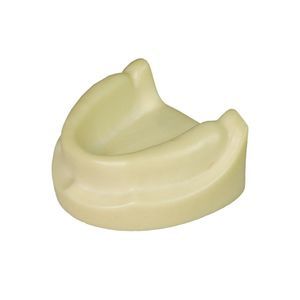 modello anatomico odontoiatrico 1