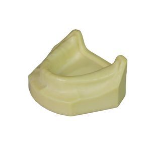 modello anatomico odontoiatrico 1