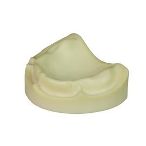 modello anatomico odontoiatrico 1