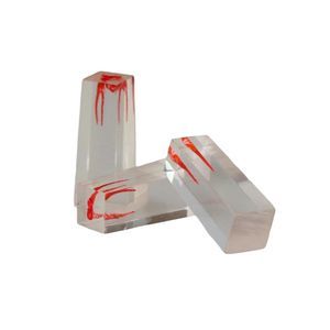 modello anatomico di canale radicolare 1