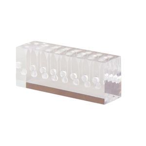 modello anatomico di denti 1
