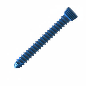 vite per compressione ossea per tibia
