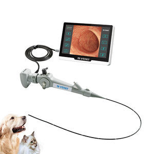 broncoscopio veterinario