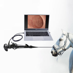 laringoscopio veterinario