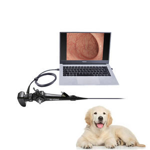 broncoscopio veterinario video