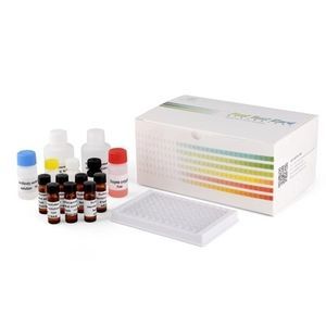 kit di test veterinario