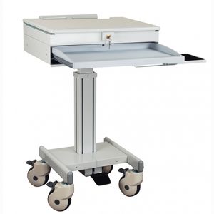 carrello informatico 1