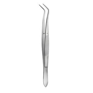 pinza dentale 1