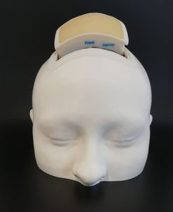 simulatore neurochirurgico