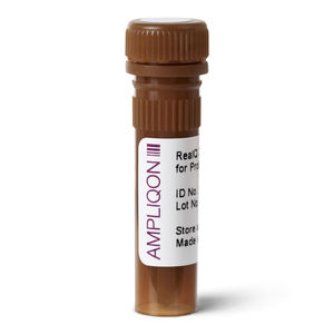 reagente DNA polimerasi 1