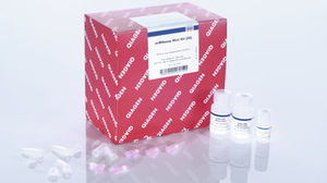 kit di reagenti per purificazione di RNA