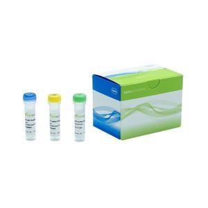 reagente DNA polimerasi 1