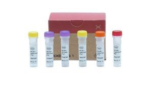 reagente DNA ligasi 1