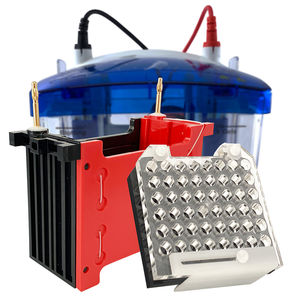 vaschetta di blotting per western blot