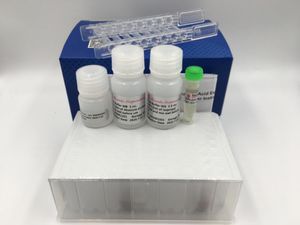 kit di reagenti per purificazione di RNA