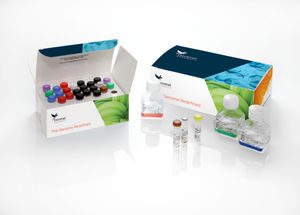 kit di reagenti enzima
