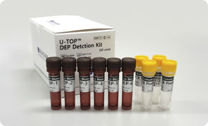 kit di reagenti per PCR real-time