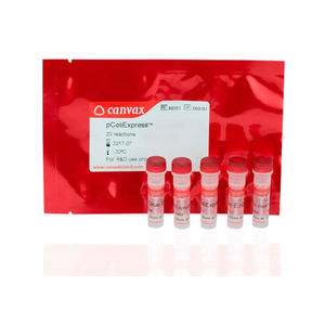 kit di reagenti DNA polimerasi