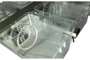 monitor dell'attività per sperimentazione animale