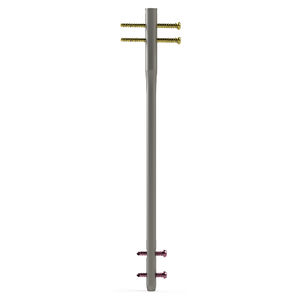 chiodo intramidollare per femore
