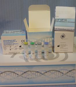 kit di test per PCR