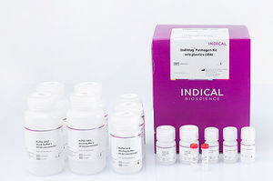 kit di reagenti per laboratorio veterinario