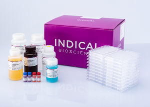 kit di test per malattie respiratorie