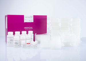 kit di test veterinario