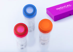 kit di test veterinario 1