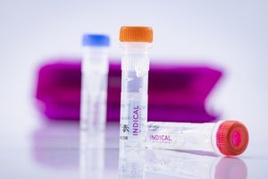 kit di test veterinario 1