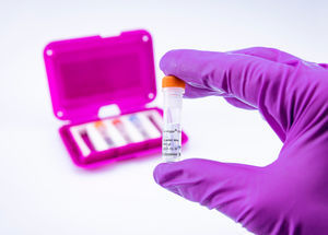kit di test veterinario 1