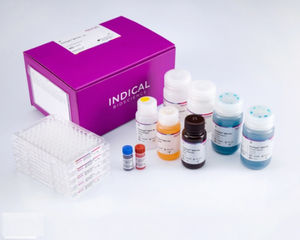 kit di test veterinario 1