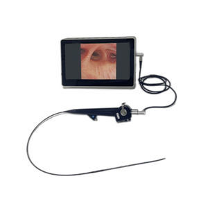 gastroscopio veterinario video