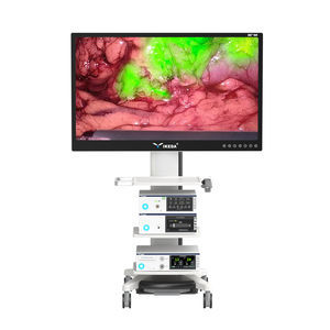 colonna endoscopica per chirurgia ginecologica endoscopica