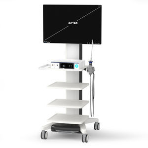 sistema di imaging endoscopico