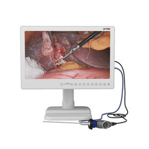 gastroscopio veterinario video