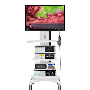 fotocamera endoscopica