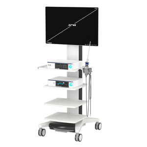 sistema di imaging endoscopico