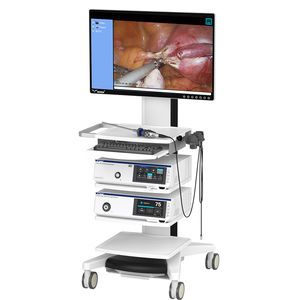 colonna endoscopica per imaging 3D