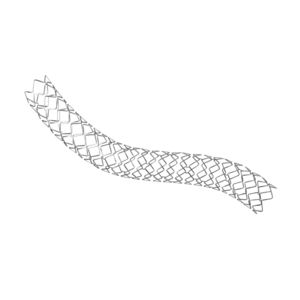 stent coronarico