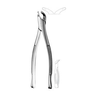 pinze per estrazione denti per premolari