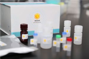 kit di test ELISA