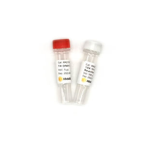 reagente DNA ligasi 1