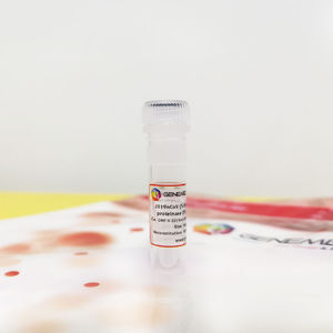 reagente antigene ricombinante