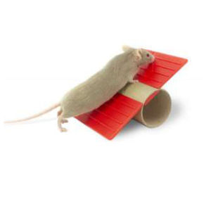 dispositivo di arricchimento ambientale per animali 1